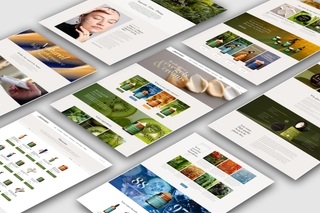 Responsive website design for natural skincare brand.