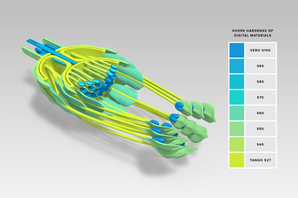 Cross-section of 3D model showing shore hardness of digital materials ranging from flexible to rigid.