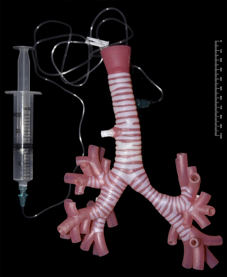 Front view of 3D printed trachea front attached to syringe.