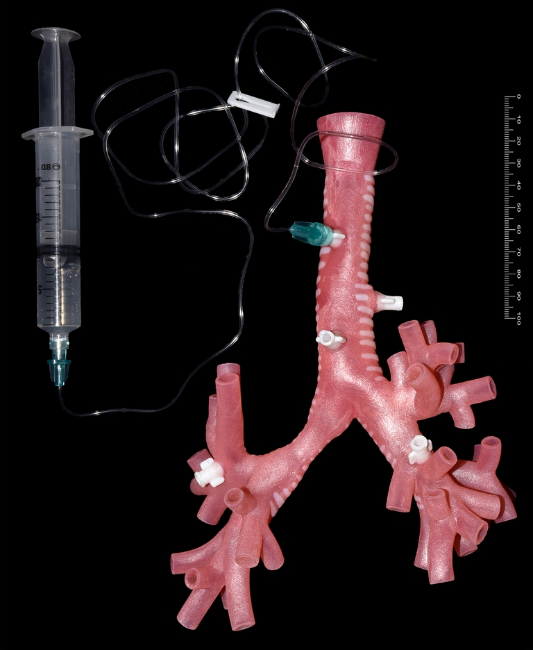 Rear view of 3D printed trachea front attached to syringe.