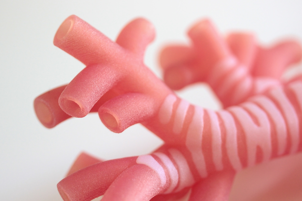 Close-up of bronchi tips of 3D printed trachea.