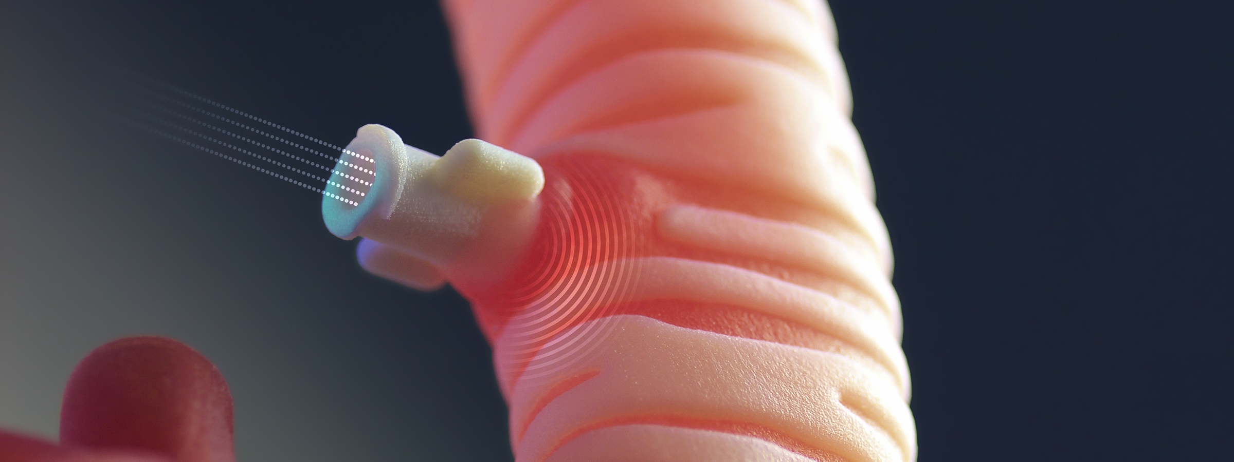 Close-up of 3D printed trachea with connection point for inflatable pathology.
