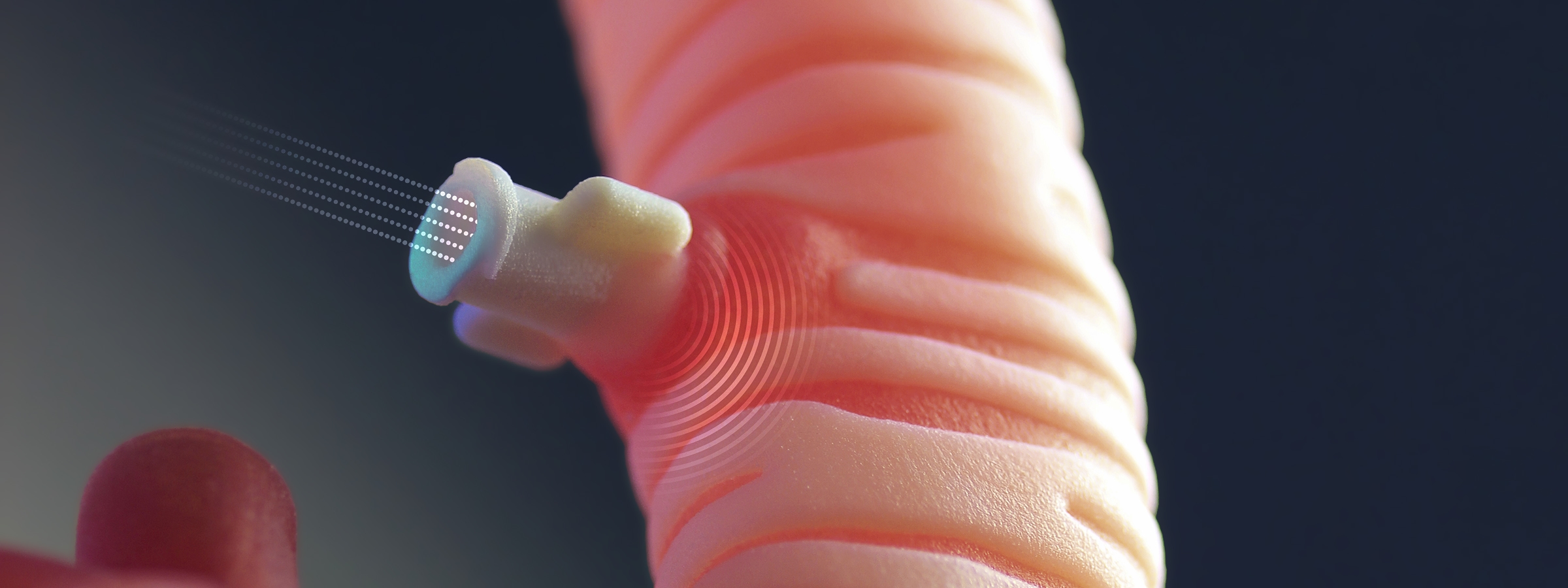 Close-up of 3D printed trachea with connection point for inflatable pathology.