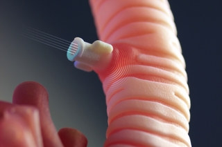 Close-up of 3D printed trachea with connection point for inflatable pathology.