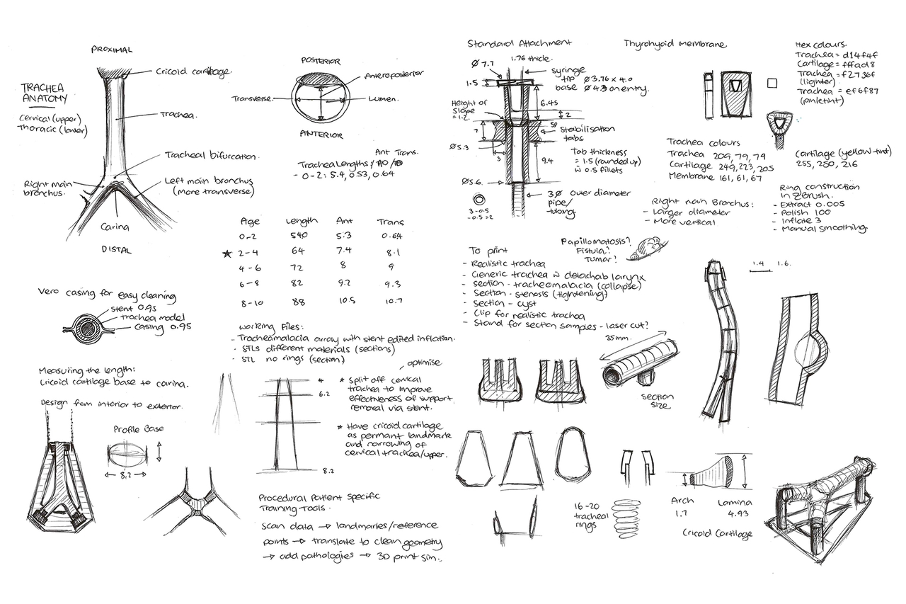 Sketches of designing the simulated trachea.