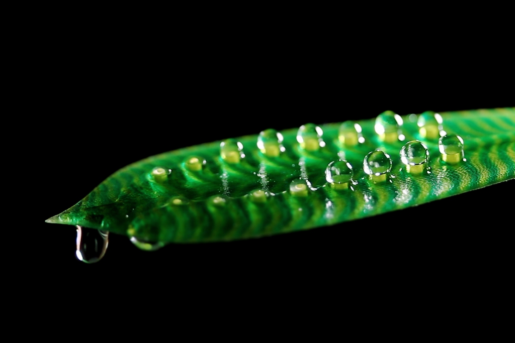 Water droplets emerging from pores in 3D printed leaf.