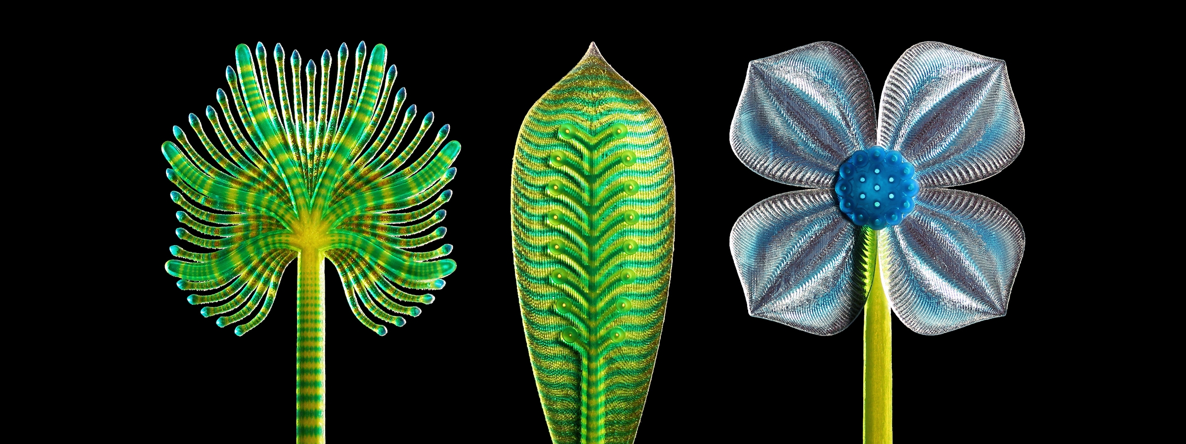 Three surreal plant-like 3D prints with microscopic textures.
