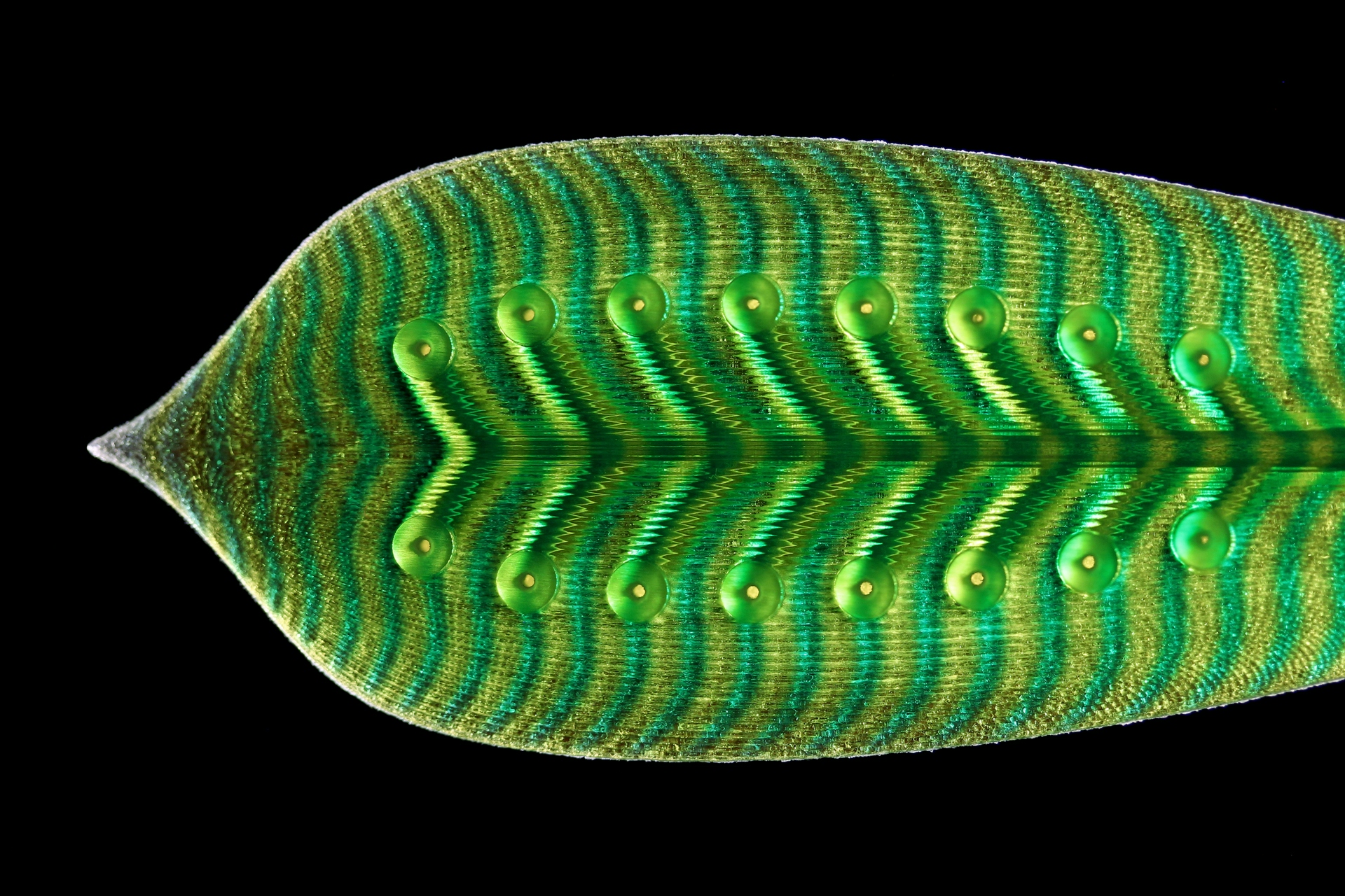 Close-up of 3D printed leaf blade showing intricate striped pattern.
