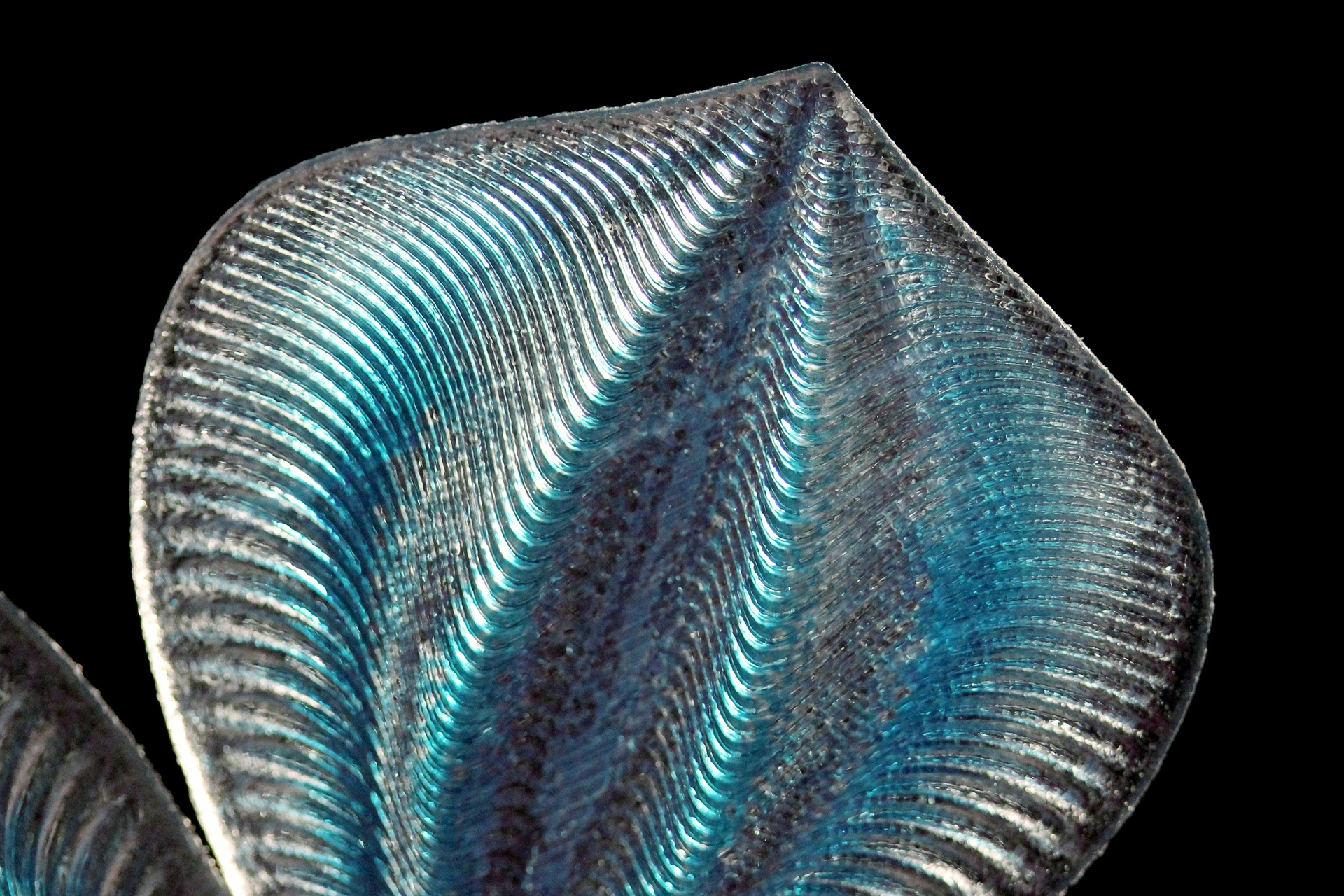 Close-up of blue 3D printed petal with curved vein patterning.
